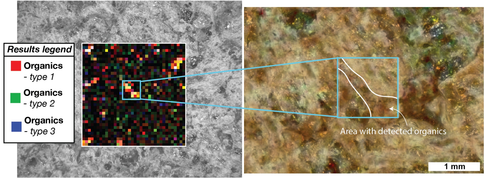 Related source image: Organics Within Garde Abrasion Patch, sol 207 (PIA25042)